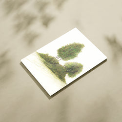 Whispers of the Grove – Tranquil Tree Cluster Botanical Wall Art